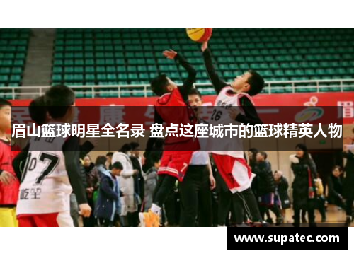 眉山篮球明星全名录 盘点这座城市的篮球精英人物