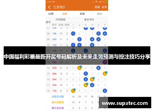 中国福利彩票最新开奖号码解析及未来走势预测与投注技巧分享