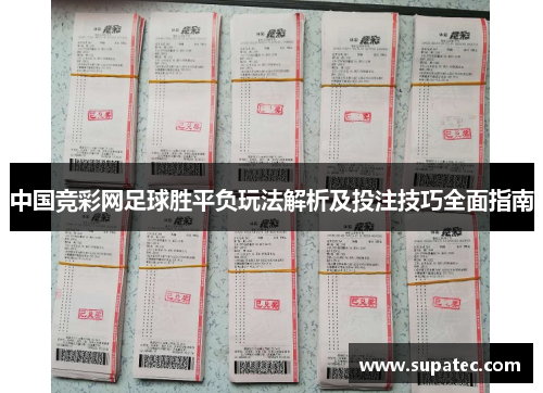 中国竞彩网足球胜平负玩法解析及投注技巧全面指南
