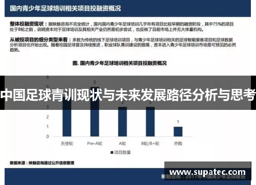 中国足球青训现状与未来发展路径分析与思考