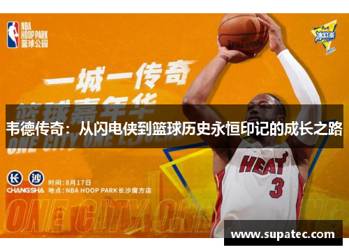 韦德传奇：从闪电侠到篮球历史永恒印记的成长之路